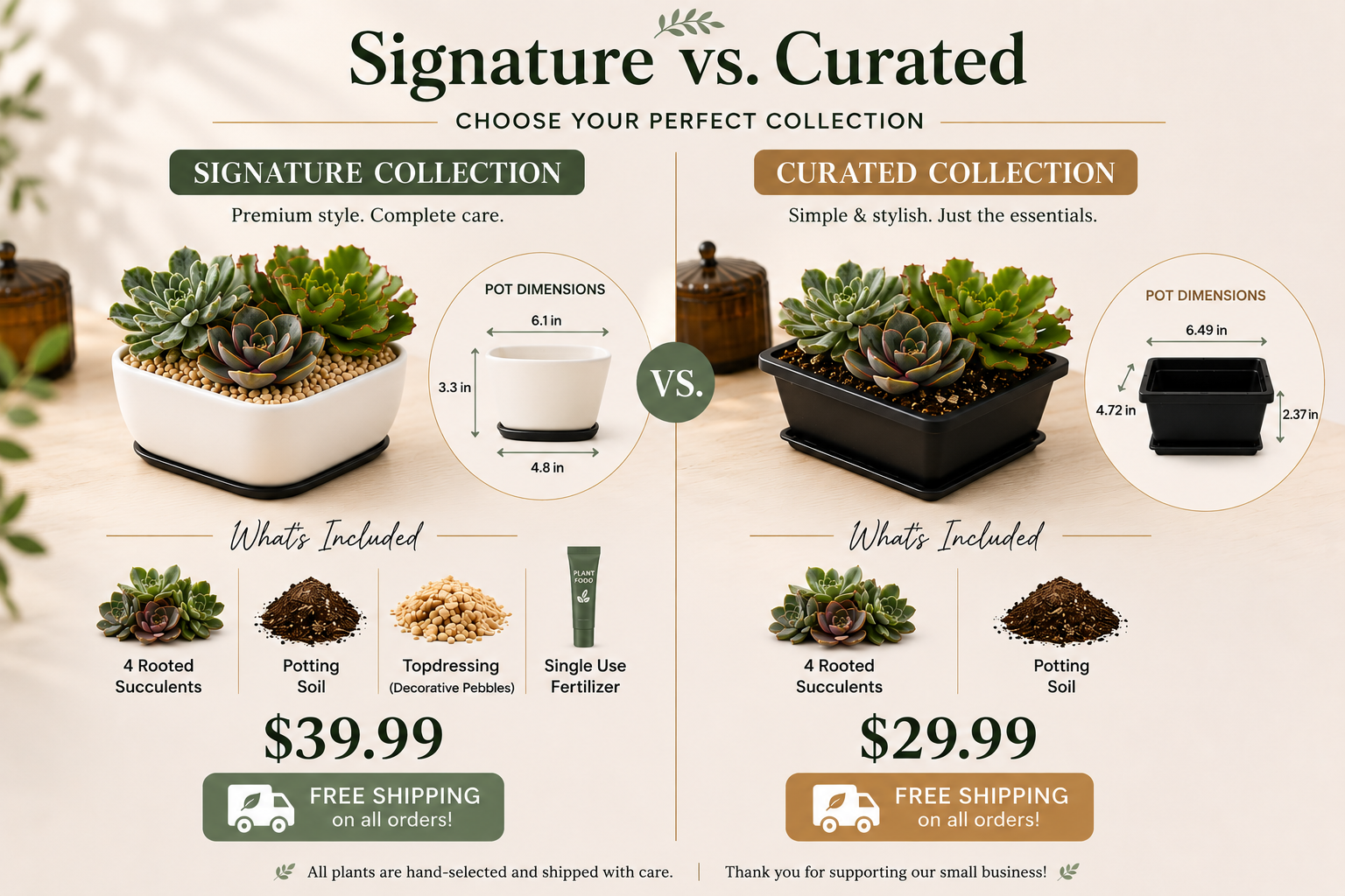 Comparison chart between Signature and Curated plant collection options with succulents and pot dimensions.