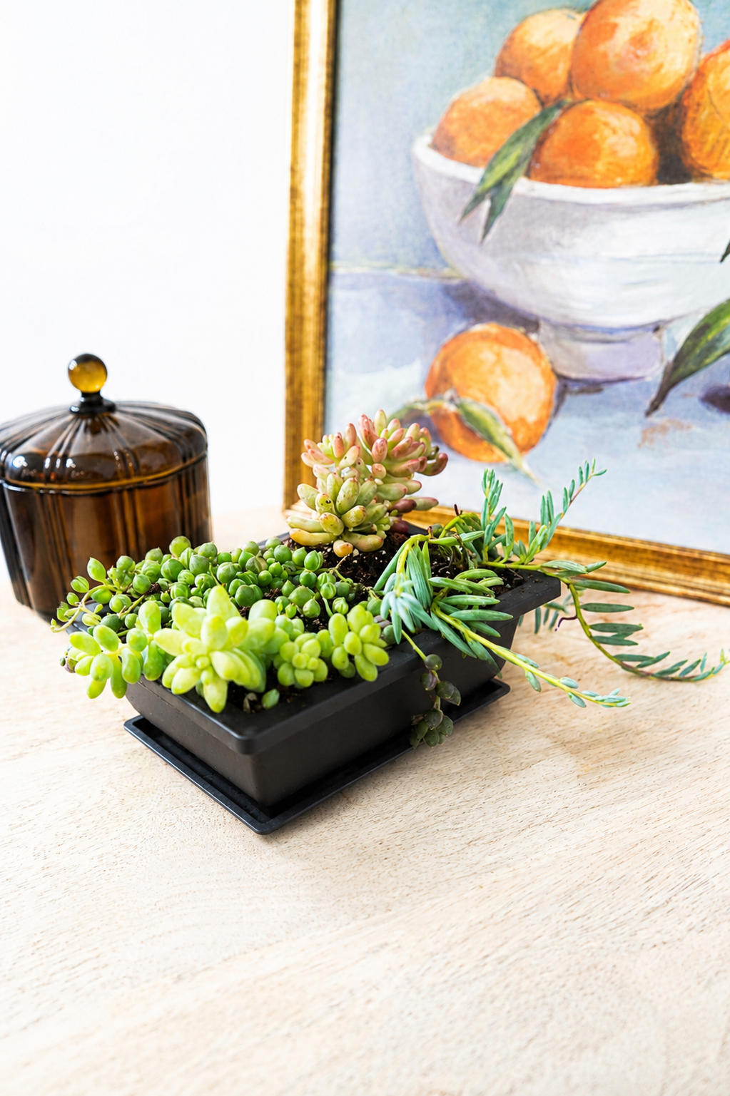 Trailing Candy Garden