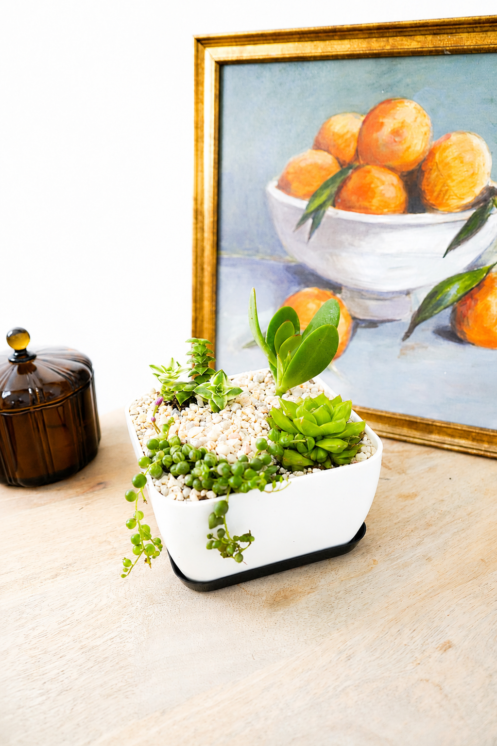 Variegated Harmony Bundle